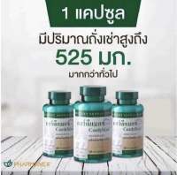 EXP.06/25 เห็ดถั่งเช่า คอร์ดีแม็กซ์ ซีเอส - 4 นูสกิน Cordymax CS4 Nuskin