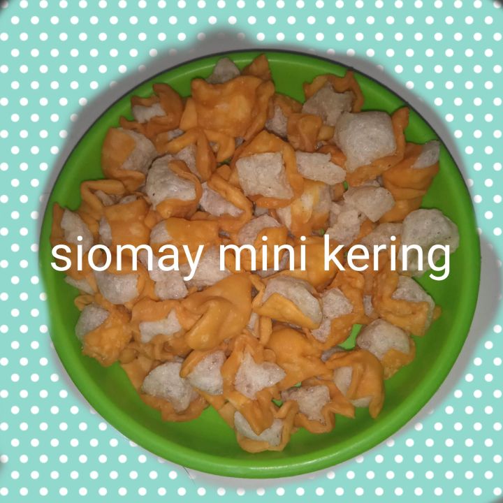 Siomay Mini Batagor Kering Toping Baso Aci 900 Gram Lazada Indonesia