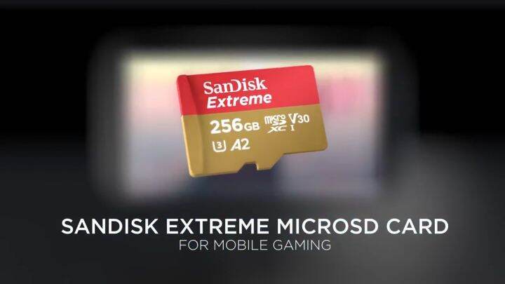 SanDisk Extreme 512GB 190MB/S Class 10 Micro SD MicroSDXC U3 Memory Card  SDSQXAV