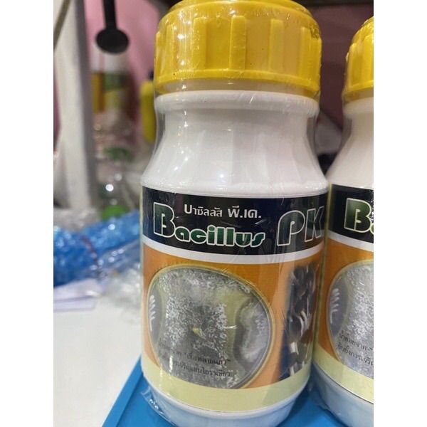 บาซิลลัส-pk-bacillus-pk-ยับยั้งการเจริญเส้นใยสีเขียว-พลายแก้วชีวภัณฑ์-ป้องกันและควบคุมเชื้อรา