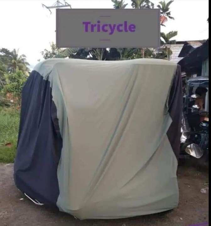 tricycle bike cover