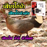 เสียงไก่ป่าตัวเมีย เสียงใสเข้าดี มีบริการเก็บปลายทาง