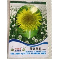 เมล็ดพันธุ์ แดนดิไลออน ( Dandelion Seed ) บรรจุ 500 เมล็ด