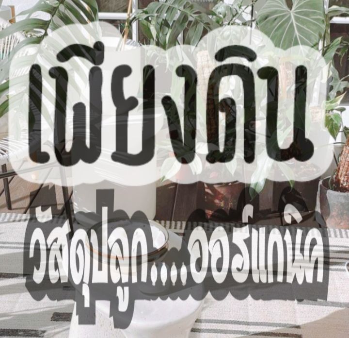 สูตร02-ซื้อ-10-กิโลกรัมแถมฟรี-2-กิโลหมักแล้วไม่ร้อนดินก้ามปูหมักมูลวัวสะอาด-ดินผสมสำเร็จ-ดินปลูกต้นไม้-ดินปลูก-เกษตรอินทรีย์-ดินออร์แกนิค-ดินอินทรีย์-ปุ๋ยอินทรีย์-ดินก้ามปู-ดินหมักใบก้ามปู-ดินก้ามปูหม