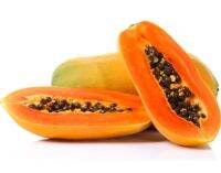 เมล็ดพันธ์ุ มะละกอ ฮอลแลนด์ (Holland Papaya Seed) บรรจุ 5 เมล็ด