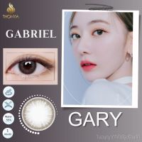 คอนแทคเลนส์ GABRIEL​ GARY​ ✨ ยี่ห้อ BEAUTYLENS ; Color Gary / Brown