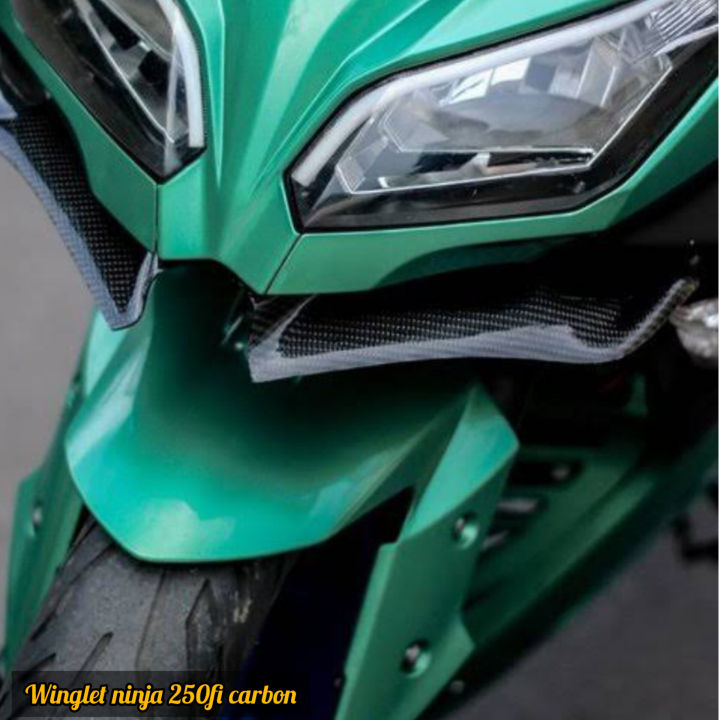 winglet ninja 250 sl