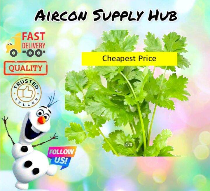 Coriander / Cilantro / Wansoy 10grams Seeds Vegetables Fruits Herbs