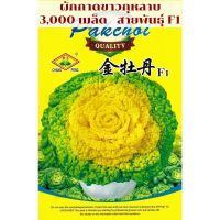 เมล็ด ผักกาด กุหลาบ  สายพันธุ์ F1  Rose Chinese Cabbage Seed  บรรจุ 3,000 เมล็ด