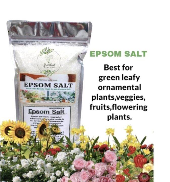 EPSOM SALT (Plants)Hydroponics Propagation FERTIGATION Lazada PH