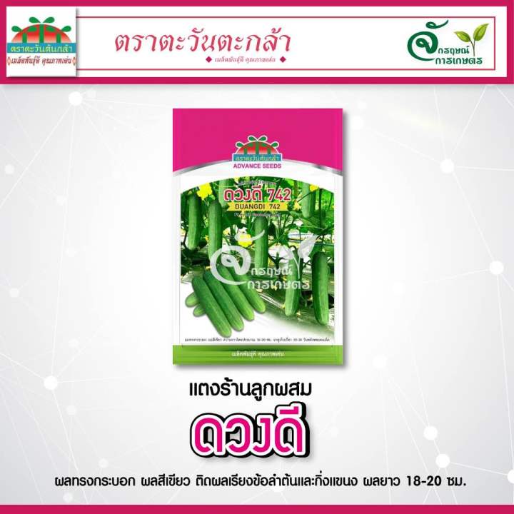 เมล็ดพันธุ์แตงร้าน-ดวงดี-742-ใหม่ล่าสุด-ขนาด100กรัม