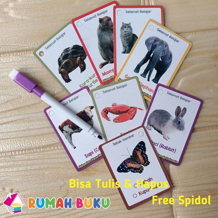 Flash Card Binatang ( Bisa tulis & Hapus Bonus Spidol) Lazada Indonesia