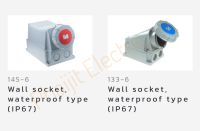 ปลั๊กเสียบติดลอย ชนิดกันฝุ่น IP67 Haco 145-6 / Wall Sockets (With Gasket) IP67 Wall Socket 145-6 With Gasket 125A,  400V 5Pin ( 3P+N+E ) สีแดง PCE (HACO) PCE By Haco Original Products