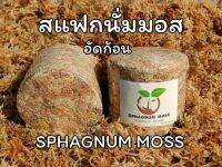 สแฟกนั่มมอส เกรดพรีเมียม อัดก้อน 50 กรัม (4ลิตร) **การันตรี มอสเน้นๆฟูสวย เส้นยาว เศษหญ้าน้อย ** Sphagnum moss Premium Grade 50g.