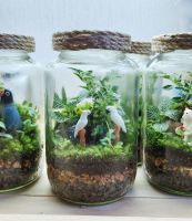 Terrarium สวนขวด ต้นไม้จิ๋ว ของขวัญ