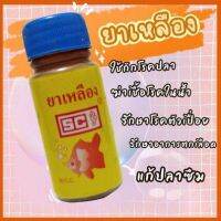 อันฟาวิน น้ำยาเหลืองใช้สำหรับป้องกันโรคสัตว์น้ำ เป็นน้ำสีเหลือง