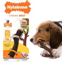 Nylabone Strong Chew ของเล่นขัดฟัน รส Maple Bacon