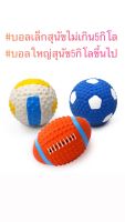 ของเล่นสุนัข?? ลูกบอล ลูกวอลเลย์ ลูกรักบี้ ?⚽️?สำหรับสุนัขพันธุ์เล็ก พันธุ์ใหญ่