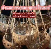 บ้านนก กระรอก ชูการ์ไรเดอร์ ผลิตจากกะลามะพร้าว พร้อมเชือกแขวนกรง