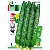 เมล็ด แตงกวา ญี่ปุ่น สายพันธุ์ OP (ประมาณ 60-70 เมล็ด) Japanese Cucumber (Jinyan No.4)