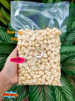 Macadamia อบพร้อมทาน ซีกกลาง(B2) 500g.-เกลือ(Salt)