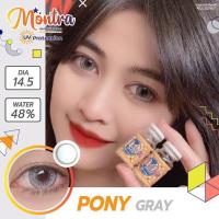 Pony grayMontra สีเทาสวยแซ่บ สีเทาฉ่ำ