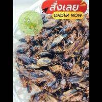 จิ้งหรีดไข่เเช่เเข็ง ขนาด 1 กิโลกรัม ราคาเปลี่ยนแปลงตามฤดูกาลคะ