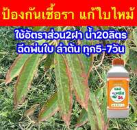 เอสพลัสจี6 ป้องกันกำจัดเชื้อรา รักษาใบไหม้ ใบจุด ต้นเน่า รากเน่า ใช้อัตราส่วน2ฝา/น้ำ20ลิตร