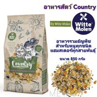 Country Hamster &amp; Friends สำหรับหนู ดอร์เมาส์ แฮมสเตอร์ทุกสายพันธุ์ (ถุงแฮมสเตอร์ 850 กรัม)