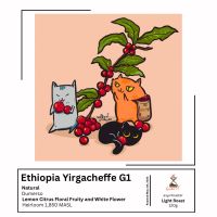 Ethiopia Yirgacheffe Dmerso G1  Natural  by ละมูล Roaster