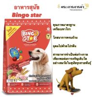 [ราคาส่ง] อาหารสุนัข BINGO STAR ชนิดเม็ด สำหรับสุนัขโตอายุตั้งแต่ 1 ปีขึ้นไป ขนาด 1 กก.