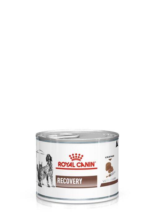 12-กระป๋อง-royal-canin-recovery-can-195-กรัม-อาหารสำหรับสุนัขและแมว-พักฟื้น