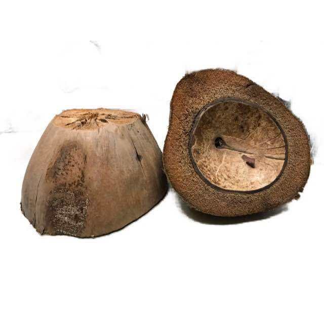 BUNOT / BUNOT / COCONUT HUSK / FLOOR POLISHER | Lazada PH