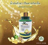 นำ้มันถั่วดาวอินคา 60 แคปซูล อย. 13-1-01563-5-0040