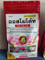 ร้านสมพร  ปู่ยออสโโค้ท 13-13-13  พร้อมส่ง