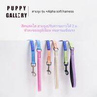 สายจูงรุ่น + Alpha soft Leash สีสันสดใส สายจูงสุนัข แมว ยาว 2 เมตร ปรับความยาวได้ แข็งแรง น้ำหนักเบา ทนทานต่อคราบสกปรก