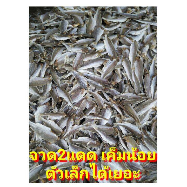 ปลาจวด-1kg-ปลาจวดแห้ง-ปลาเค็ม-แดดเดียว-ทำใหม่สด-otop-เนื้อนุ่ม-ปลาแดดเดียว