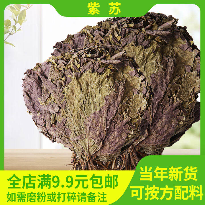 Purple Perilla Purple Perilla Dried Leaves Natural Perilla Cotyledons ...