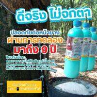 ฟินพารา