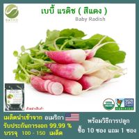 เมล็ดเบบี้ แรดิช (สีแดง)  จำนวน 100-150 เมล็ด