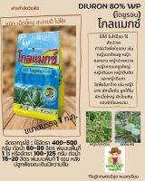 โกลแมกซ์ 80% wg ตราหัวเสือลูกโลก ขนาด 1 กิโลกรัม  ปราบหญ้าใบแคบ เช่น หญ้านกสีชมพู หญ้าดอกขาว หญ้าปากควาย