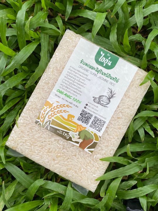 ข้าวหอมมะลิสุรินทร์-ข้าวขัดขาว-ข้าวเพื่อสุขภาพ-อินทรีย์แท้-100-organic-rice