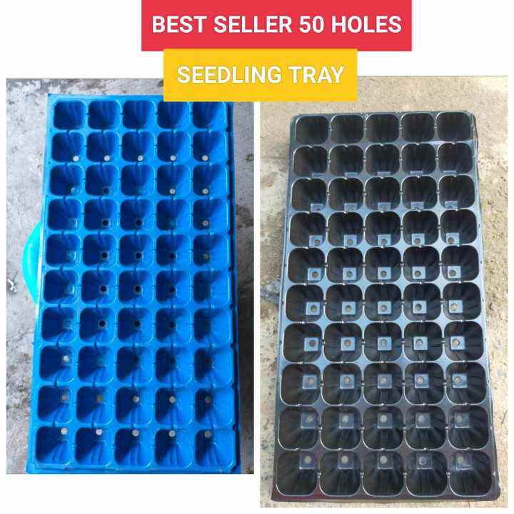 SEEDLING TRAY 50 HOLES Lazada PH