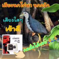 เสียงนกกวัก นกไก่นา เสียงใสเข้าดี มีบริการเก็บเงินปลายทาง