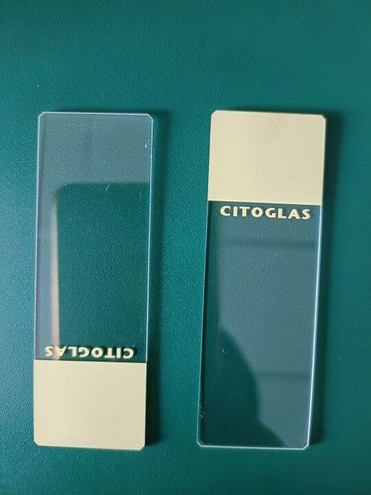 citoglass-แผ่นกระจกไถสไลด์-แผ่นไถสไลด์-อันละ-25-บาท