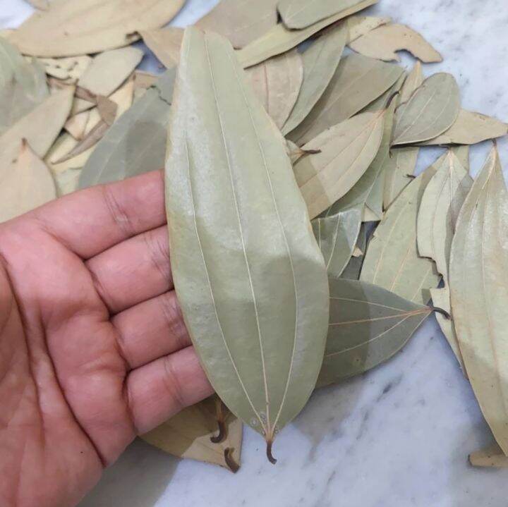 Daun Salam Import Kering 100gr Bay Leaf Bay Leaves Lazada Indonesia