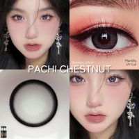 pachi chestnut,gray ขนาดกลางตัดขอบตาไม่ลอย