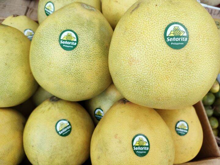 1Kg SWEET AND JUICY DAVAO POMELO "SENORITA" Lazada PH