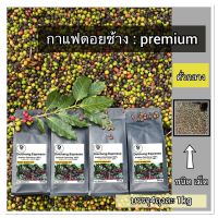 กาแฟอาราบิก้า ดอยช้าง คั่วกลาง 4ถุง 1gk (ชนิดเม็ด)arabica 100%