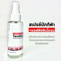 TENDORON สเปรย์นักกีฬา ออฟฟิศซินโดรม น้ำมันนวด เท็นโดรอน Sports Massage Oil Spray